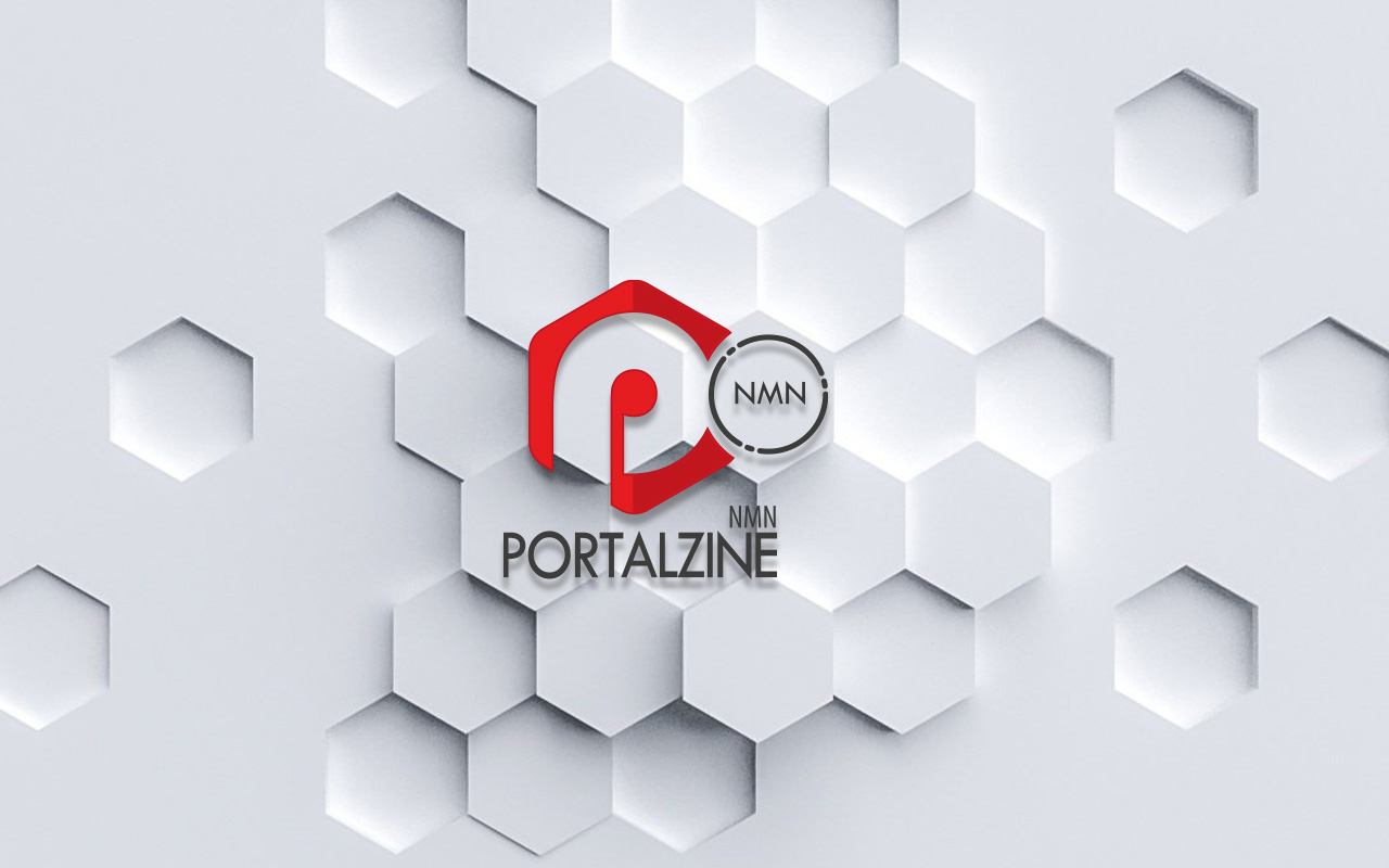 portalZINE NMN | Development meets Creativity | cubicfusion admin enhancer 2020 1